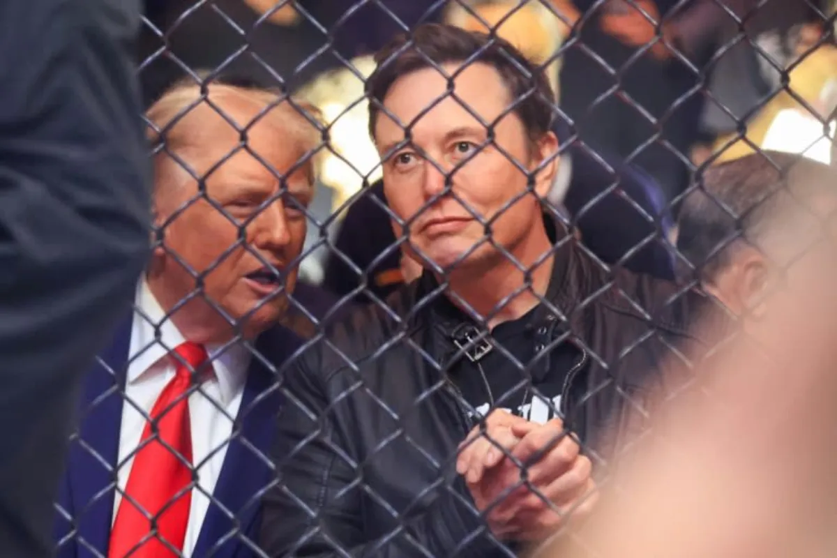 Musk projects his hard-right influence in Europe