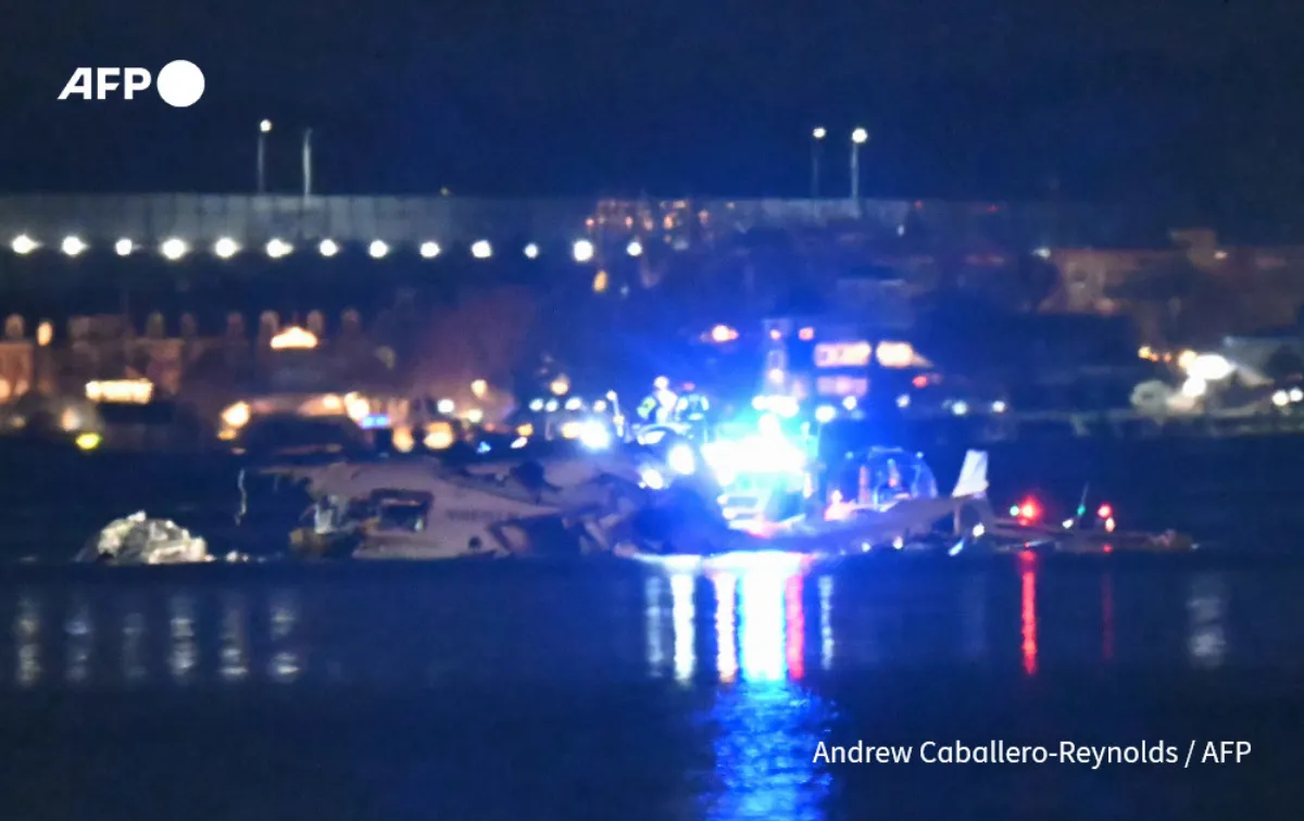 Multiple Bodies Recovered From Washington Plane Crash Site: US Media