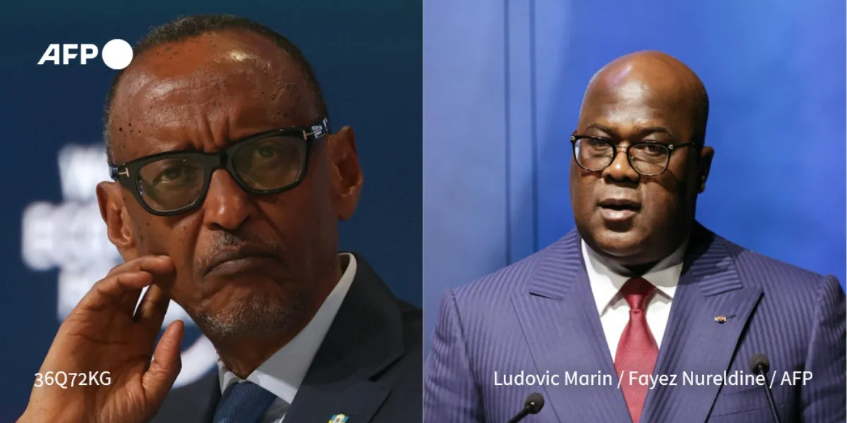 African leaders call for 'immediate ceasefire' at DRC summit