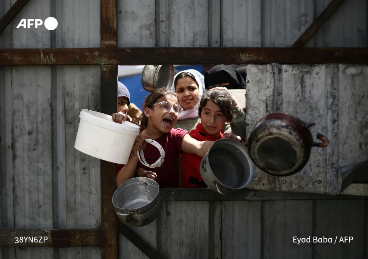 Gazans resort to turtle meat in hunt for food