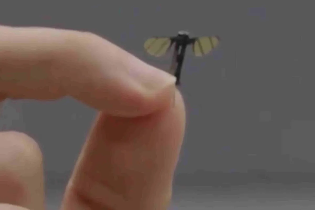 Chinese military robotics lab creates mosquito-sized microdrone for covert operations