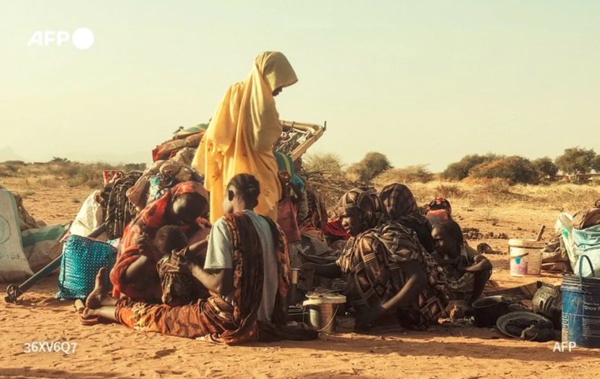 13 Killed Including 3 Children In Sudan Paramilitary Strikes On Darfur City: Medical Source