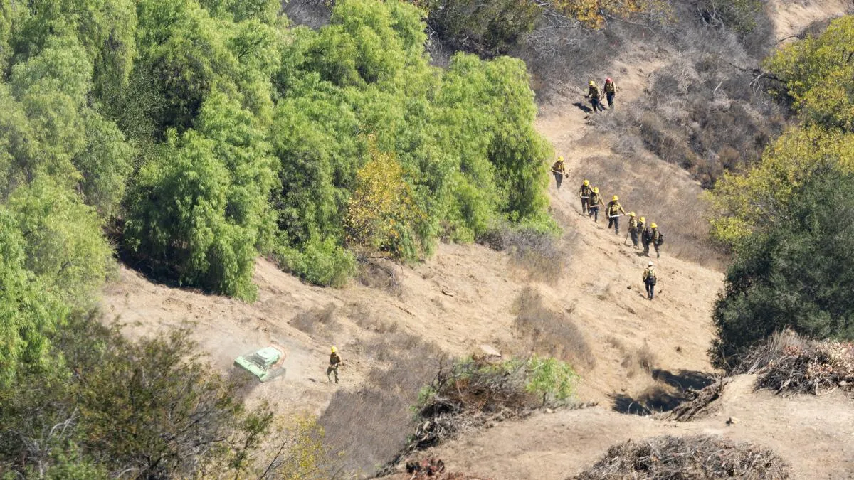 California Wildfire Prevention Funding Faces Steep Decline