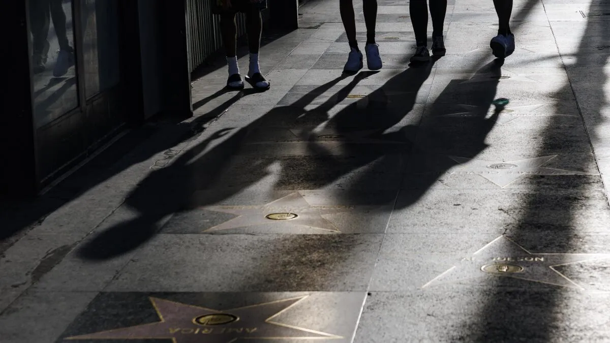 Man Fatally Attacked on Hollywood Walk of Fame; Dog Owner Arrested