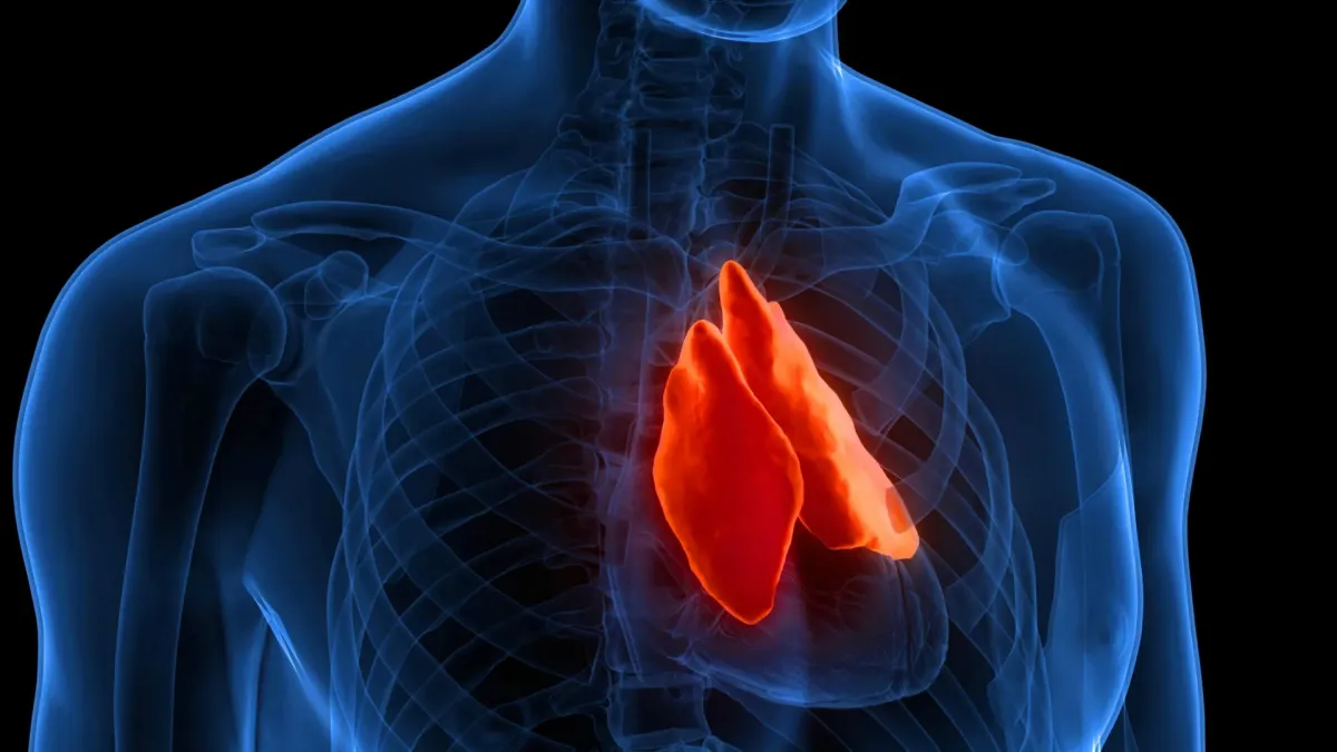 Thymus: The Overlooked Organ Linked to Longevity and Cancer Treatment