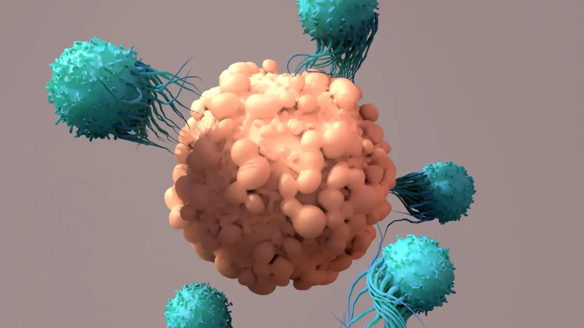Protein Discovery Boosts CAR T Cancer Therapy Potential