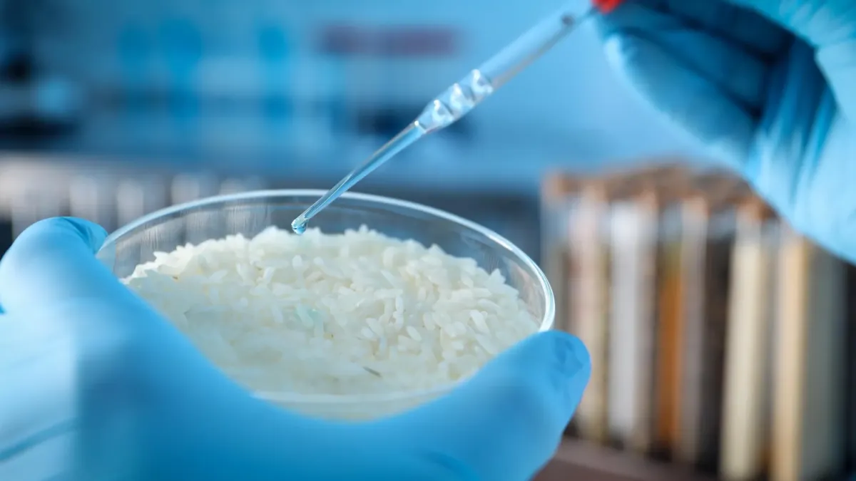 Rice's Weird Pressure Trick Sparks Smart Material Breakthrough