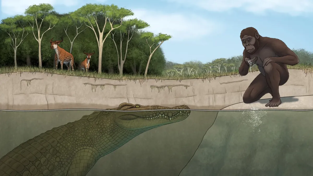 New Giant Crocodile Species: "Lucy's Hunter" Terrorized Early Humans