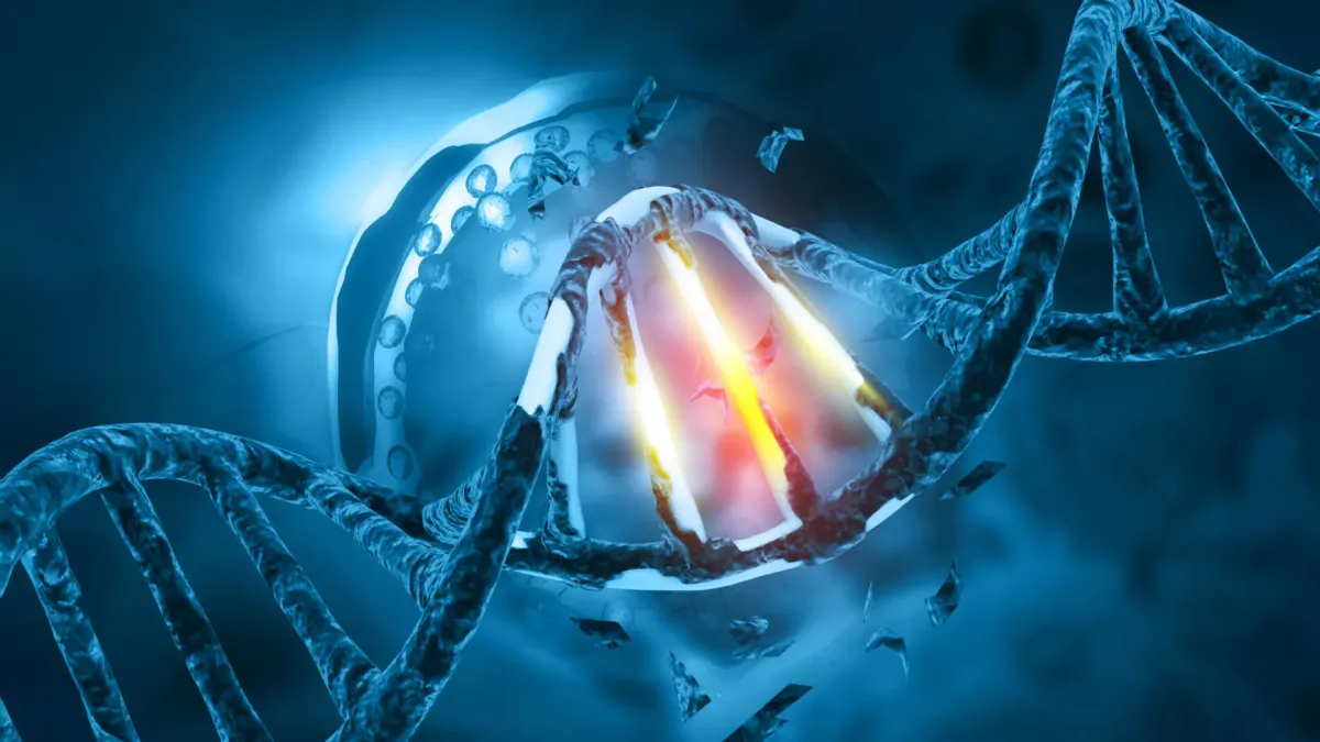 Rogue Gene EXO1 Unlocks New Cancer Treatment Avenues