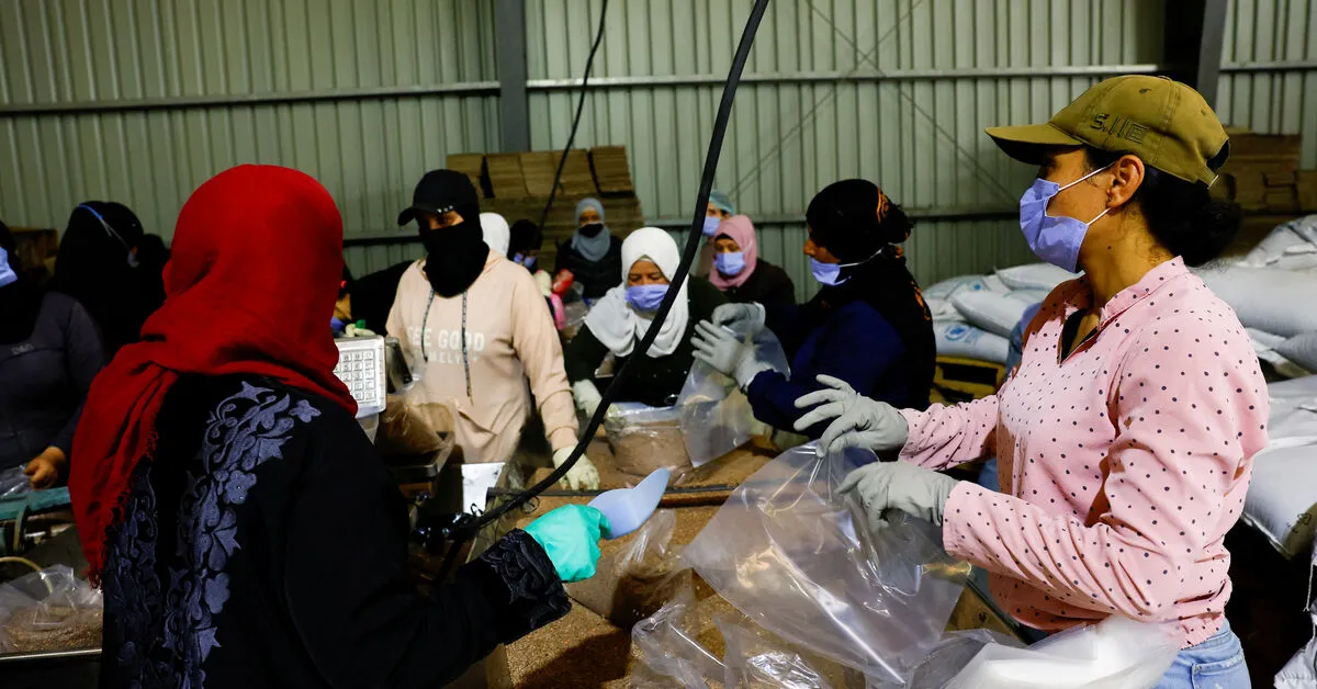 UN: Syria's Sweida Reintegration Plan Stalled, Divisions Persist