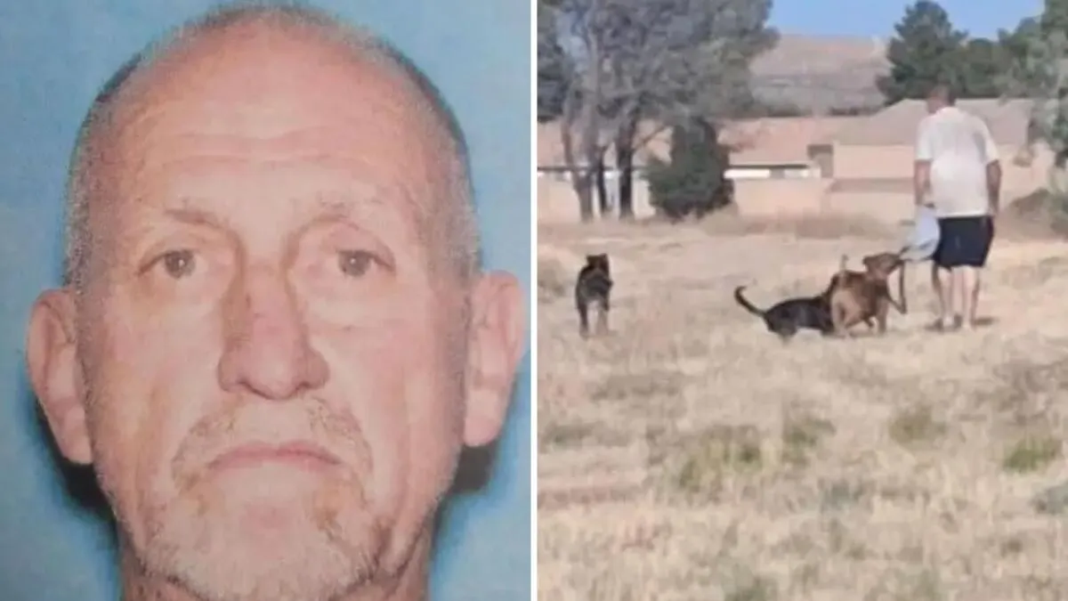 Boy Drowns Fleeing Dog Attack; Suspect and Dogs Sought