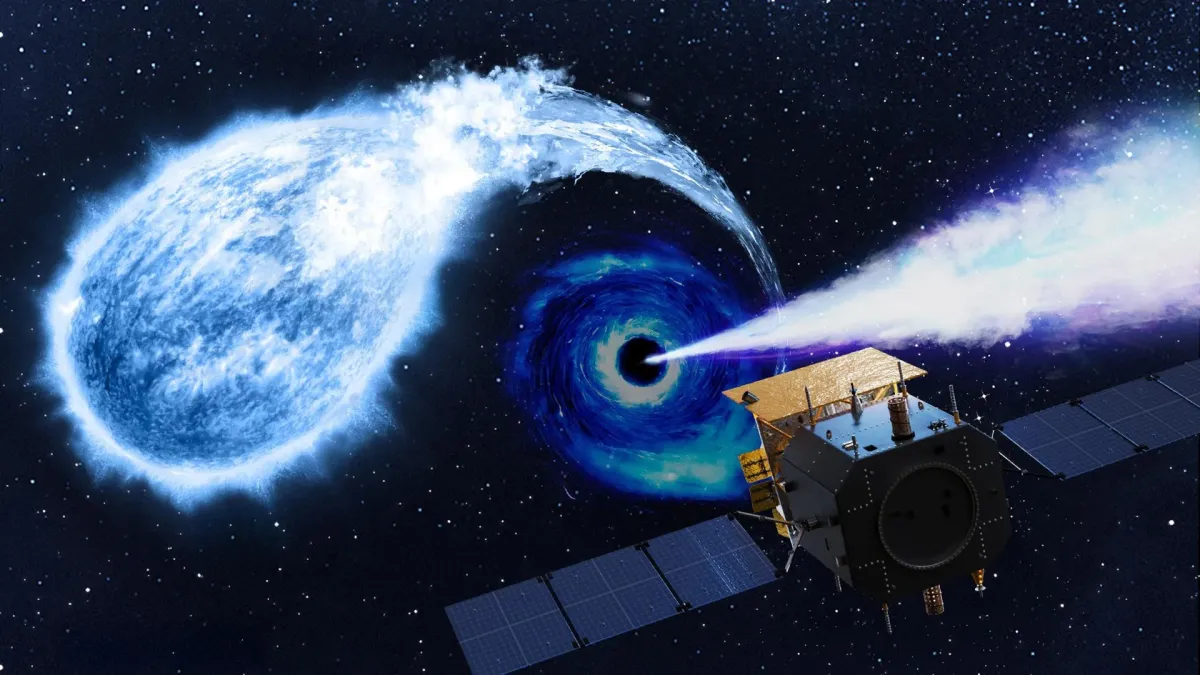 Einstein Probe Spots Potential Black Hole Devouring White Dwarf