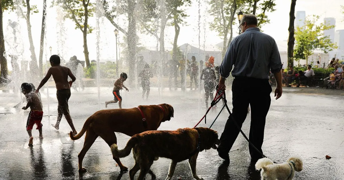 NYC Heat Wave: Expect Temps Hotter Than Phoenix