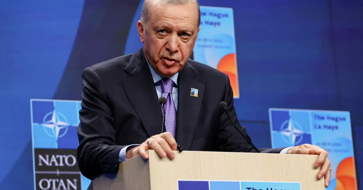NATO Allies Quiet on Turkey's Rights Record Amid Security Focus
