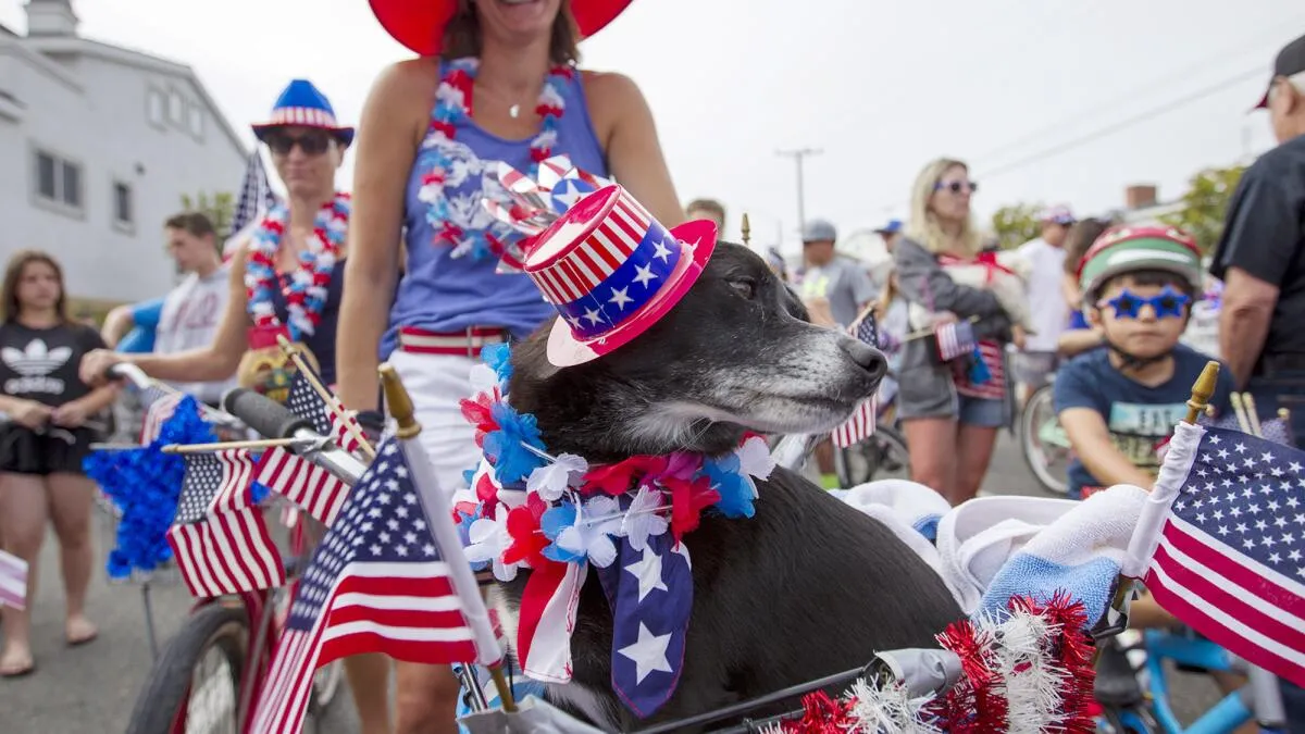 Fourth of July: Expert Advice for Pet Safety Amidst Fireworks