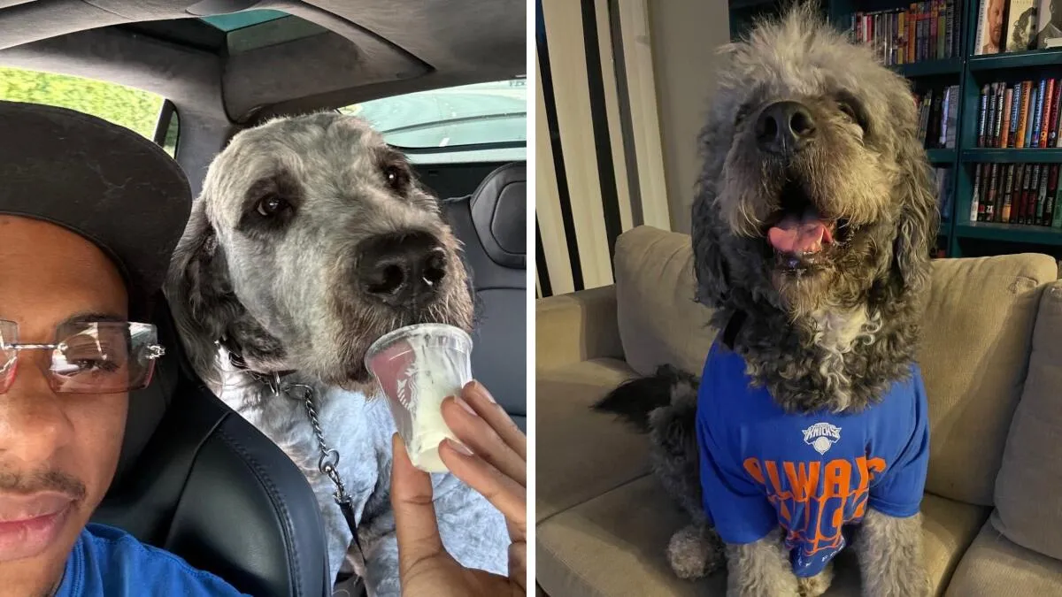 LAPD Sued Over Fatal Shooting of Dog in Knicks T-Shirt