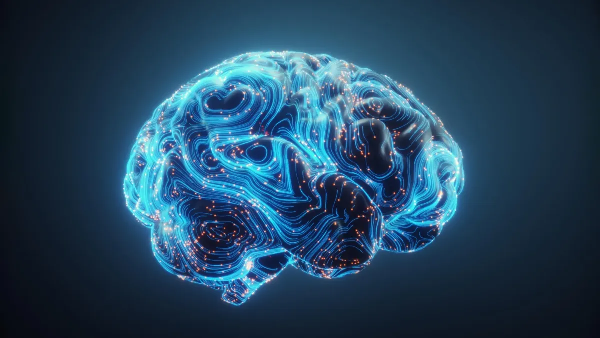 Brain Rewires for True Multitasking, Study Finds