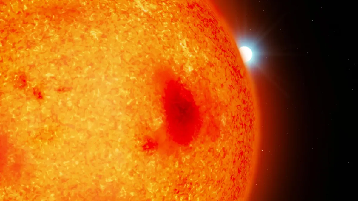 Four Hidden White Dwarfs Found Near Earth by Astronomers
