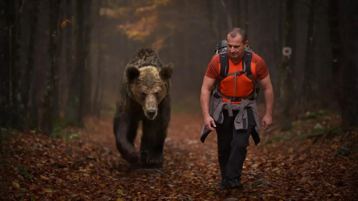 Wildlife's Fear Factor: Animals Distinguish Between Deadly and Non-Deadly Humans