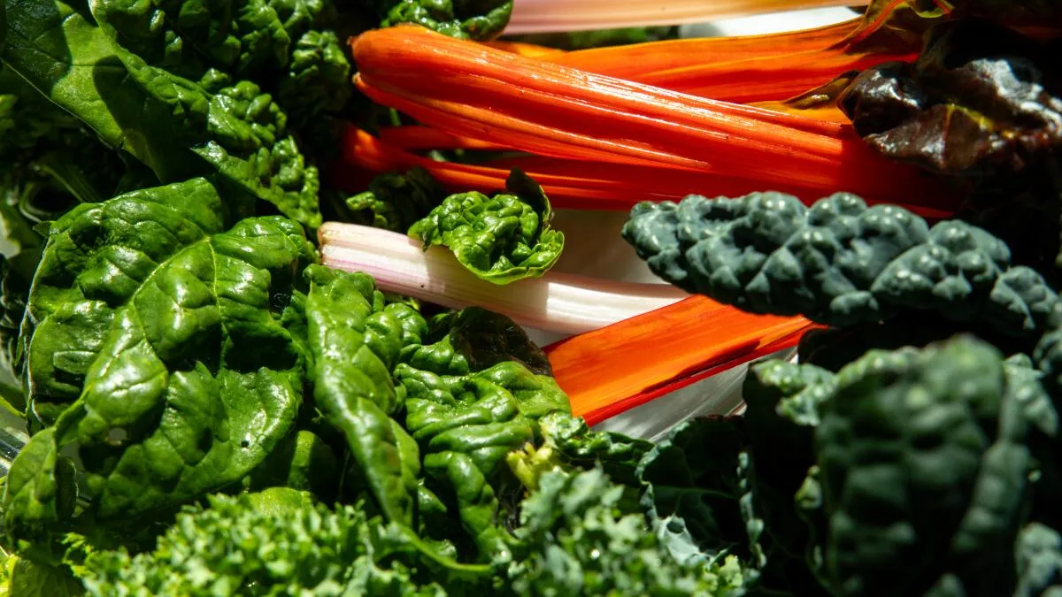 Cyclosporiasis Outbreak Prompts Food Safety Warnings