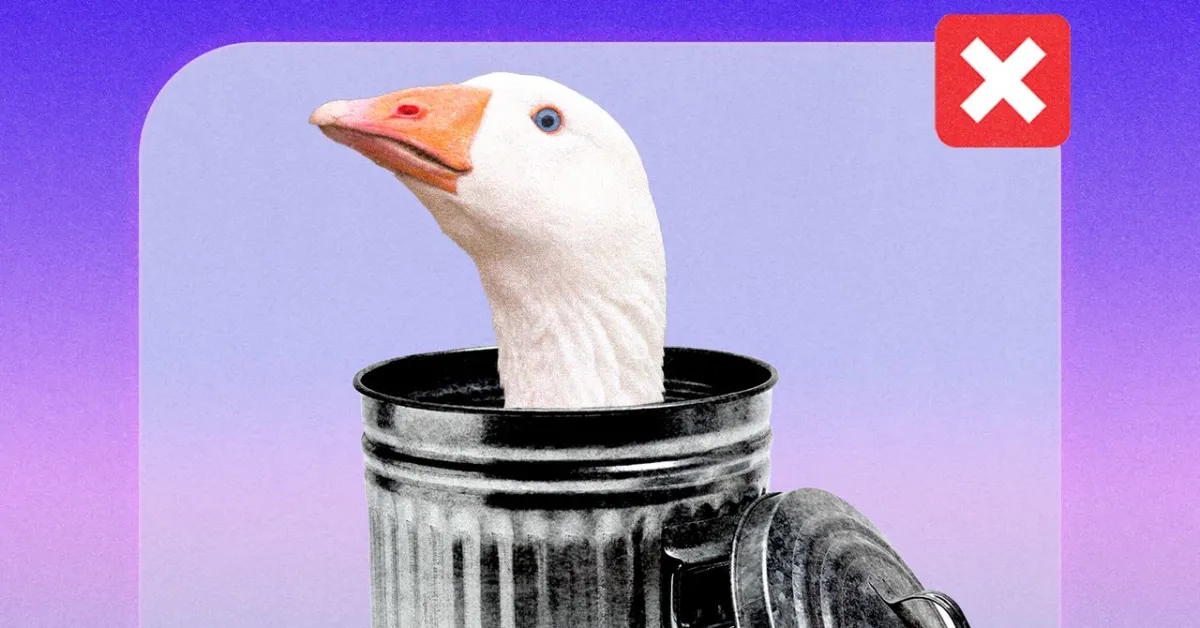 Goose App: Promising Friendships, But Facing Exclusion Claims