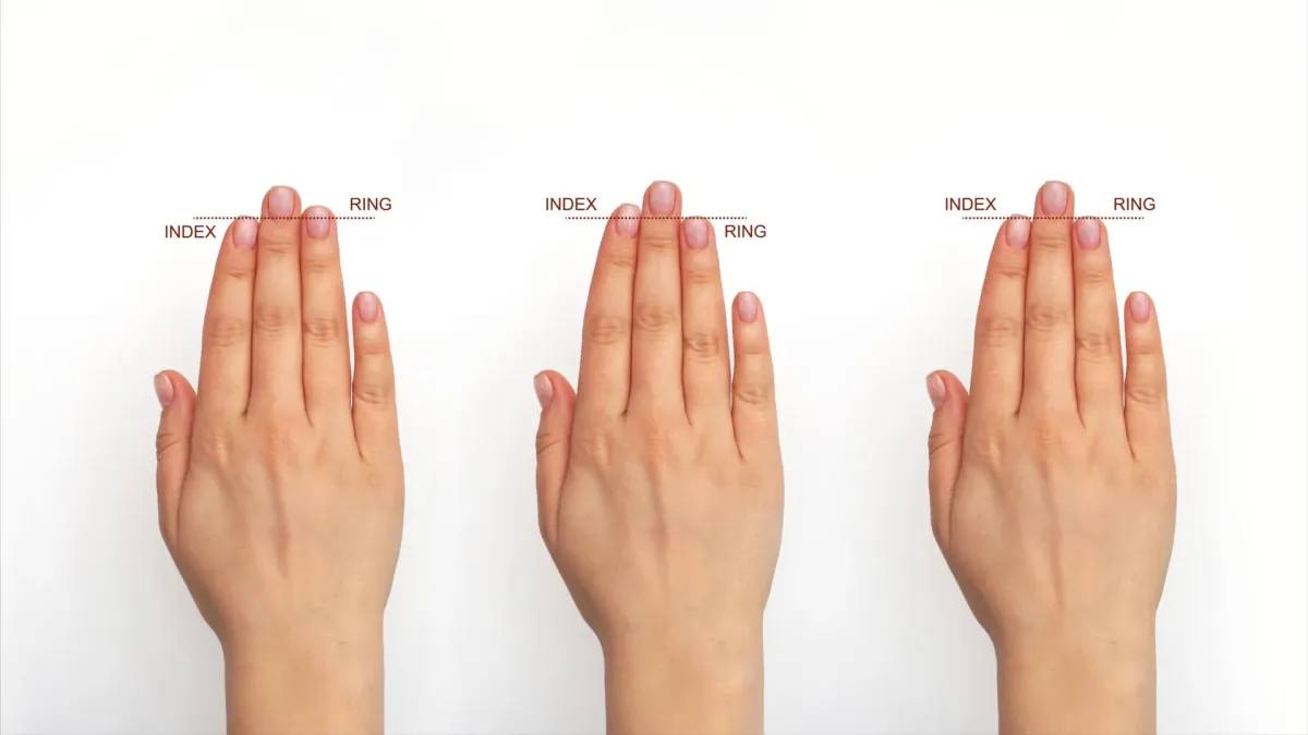 Fingers Might Reveal Brain Evolution Secrets