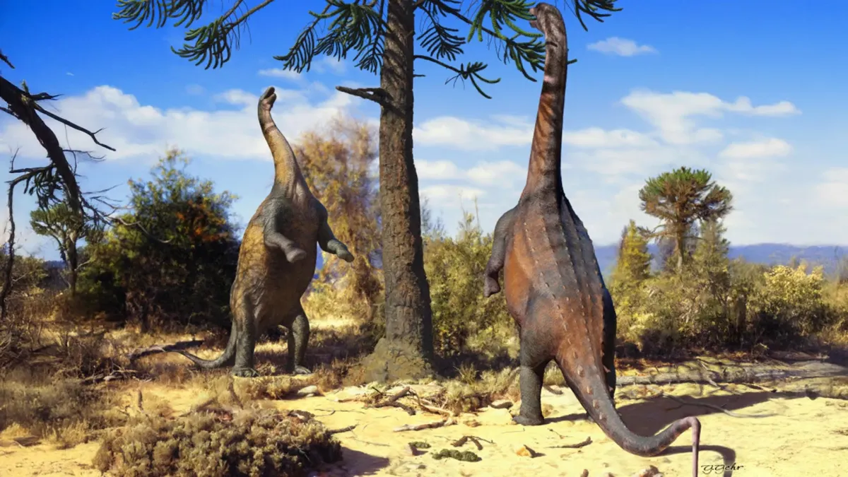 Young Giants: Dinosaurs Could Stand Tall, But Grew Out Of It