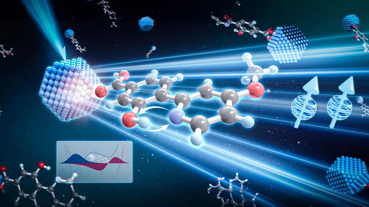 Quantum Proton Shuttle Supercharges Energy Transfer
