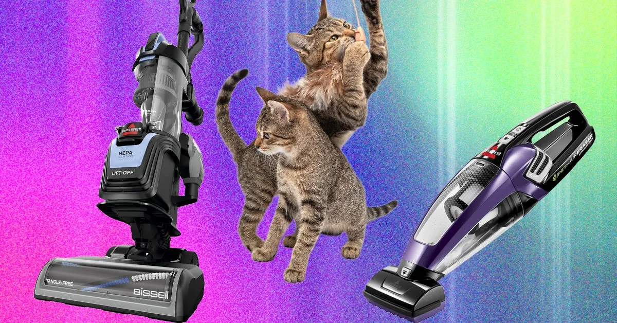 Top Pet Vacuums for Taming Furry Friend Shedding