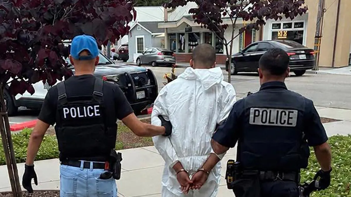 Young Man Accused of Randomly Stabbing Art Gallery Owner to Death