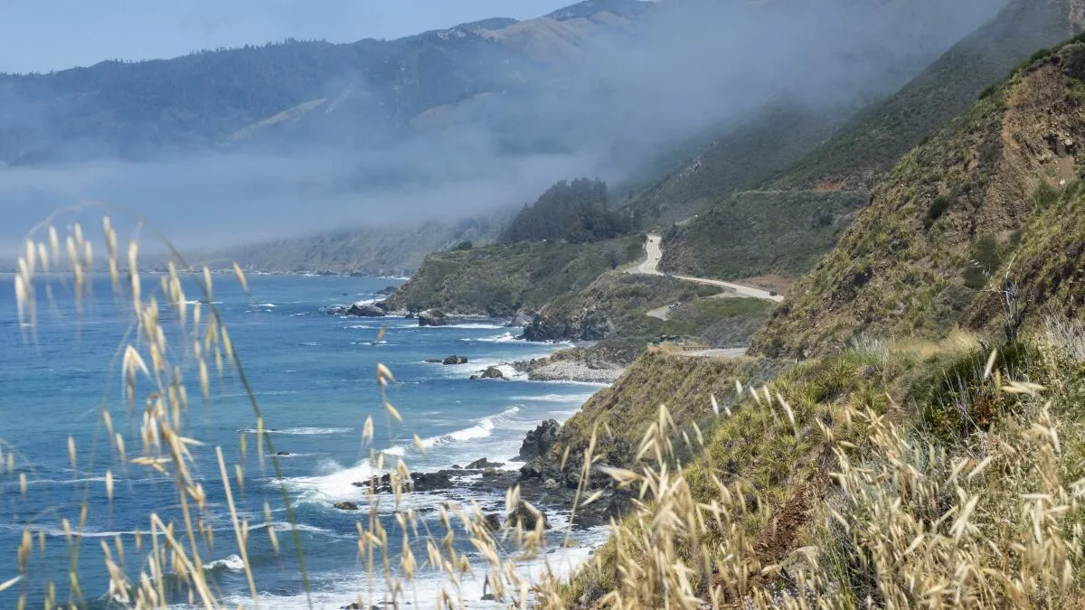 Hiker's Death in Big Sur Ruled Natural After Suspicious Wounds Investigated