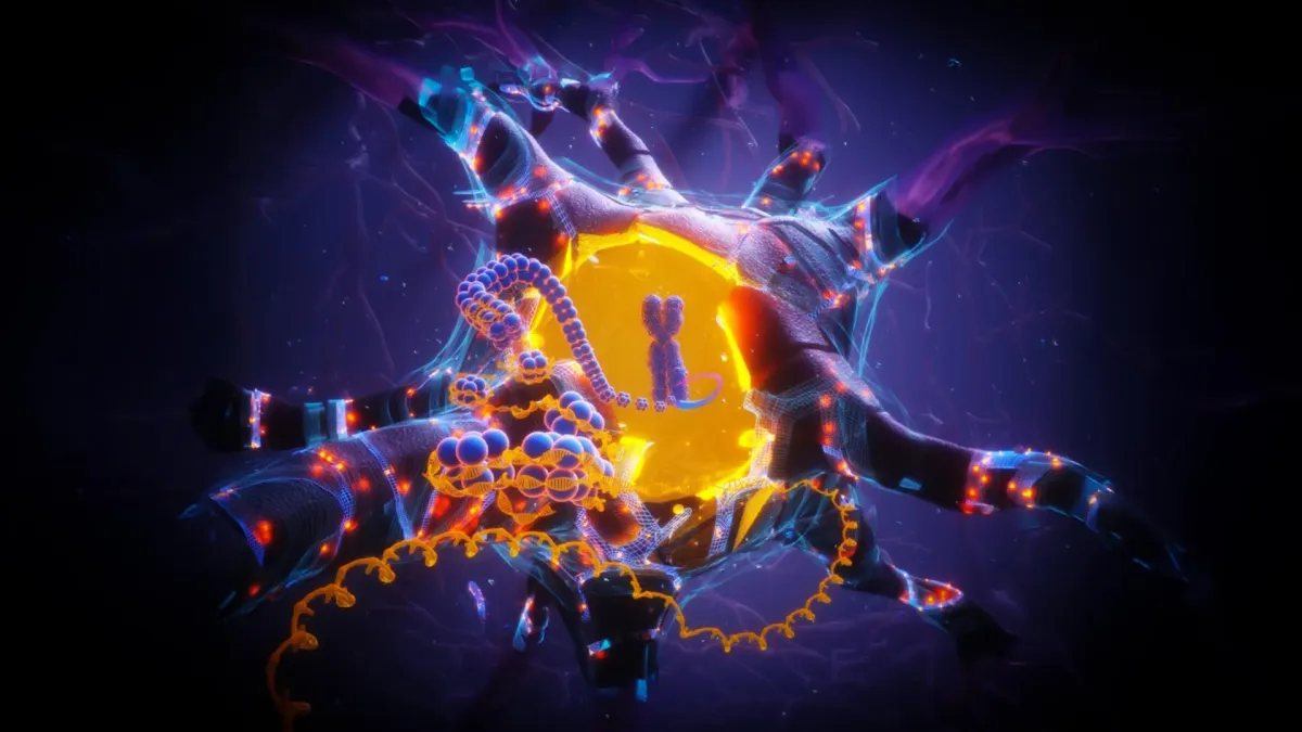APOE2 Gene Variant Linked to Stronger Brain Cell Defense and Longevity