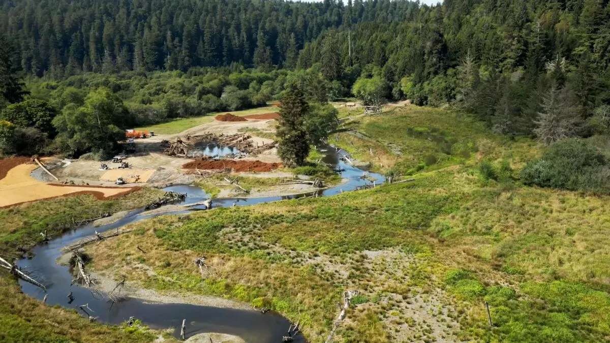 Yurok Tribe Reclaims Historic Redwood Gateway Property