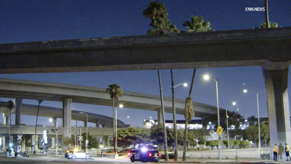 Motorcyclist Dies in Fall From Los Angeles Freeway Interchange