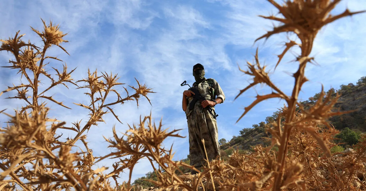 Turkey Proposes Law for PKK Disbandment and Militant Reintegration