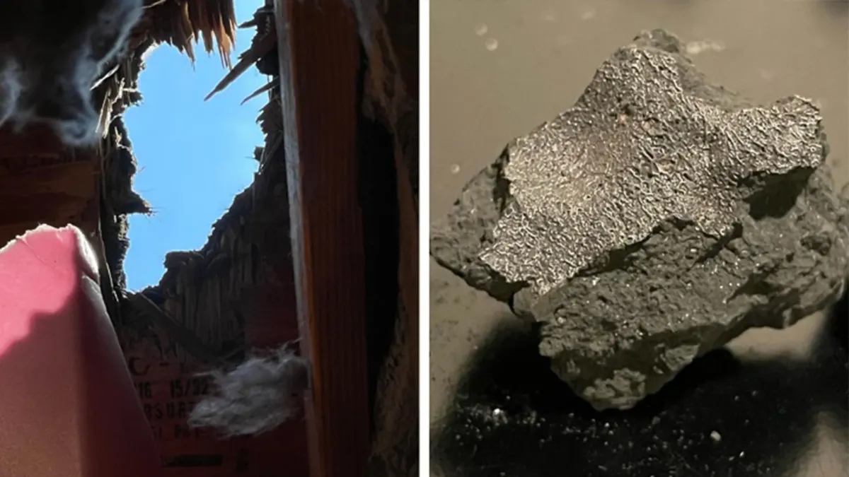 New Jersey Meteorite Unlocks Secrets of Life's Origins
