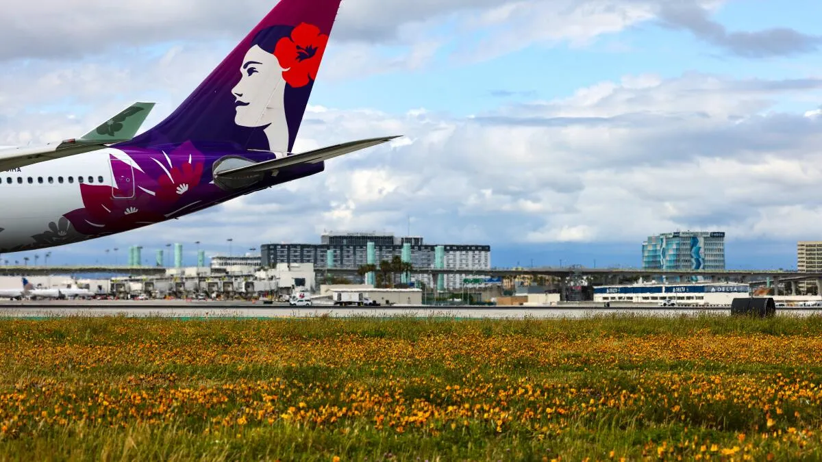 Hurricane Lala Disrupts Los Angeles-Hawaii Flights