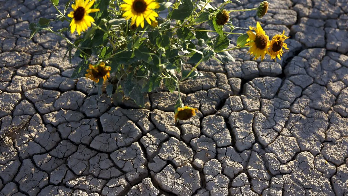 Arizona Threatens Legal Action Over Colorado River Water Cuts