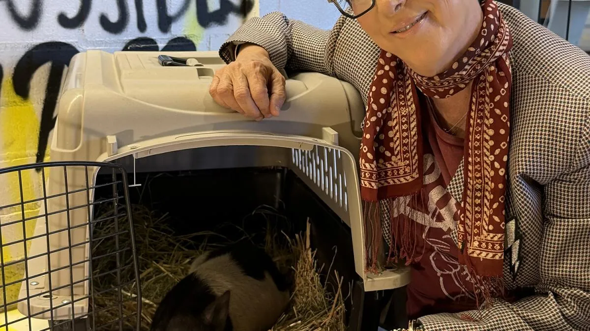 Grammy Winner Diane Warren Adopts Viral 'Wilbur' the Pig
