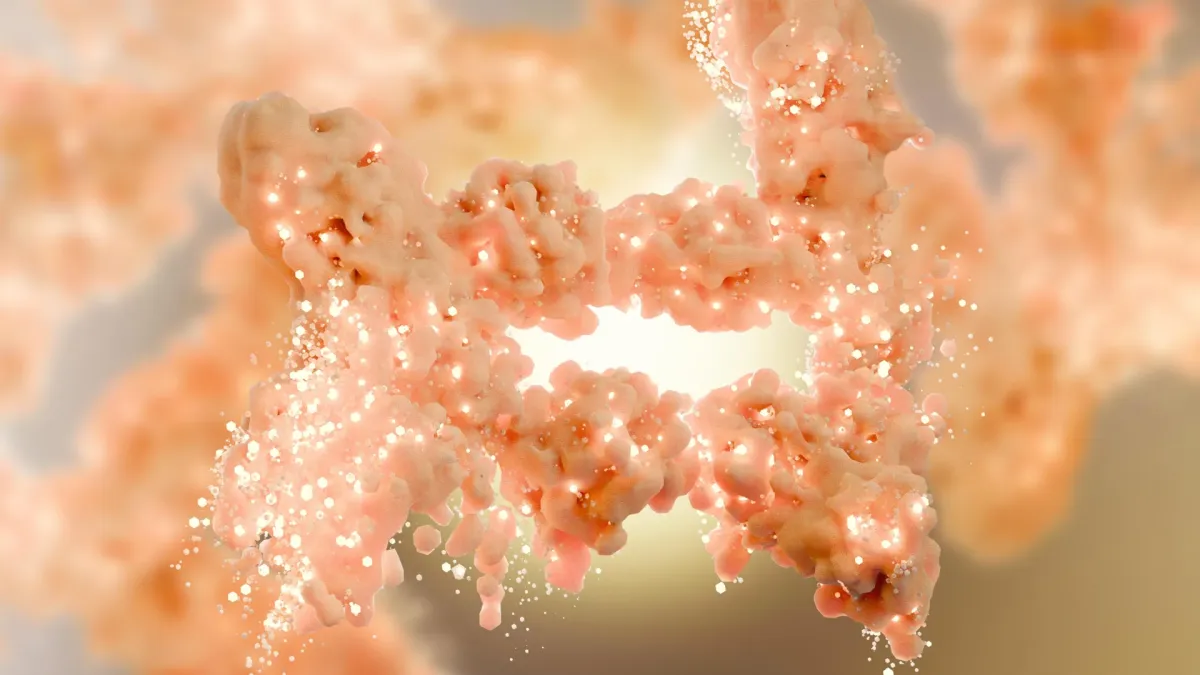 New Compound Burns Fat Without Muscle Loss in Mice