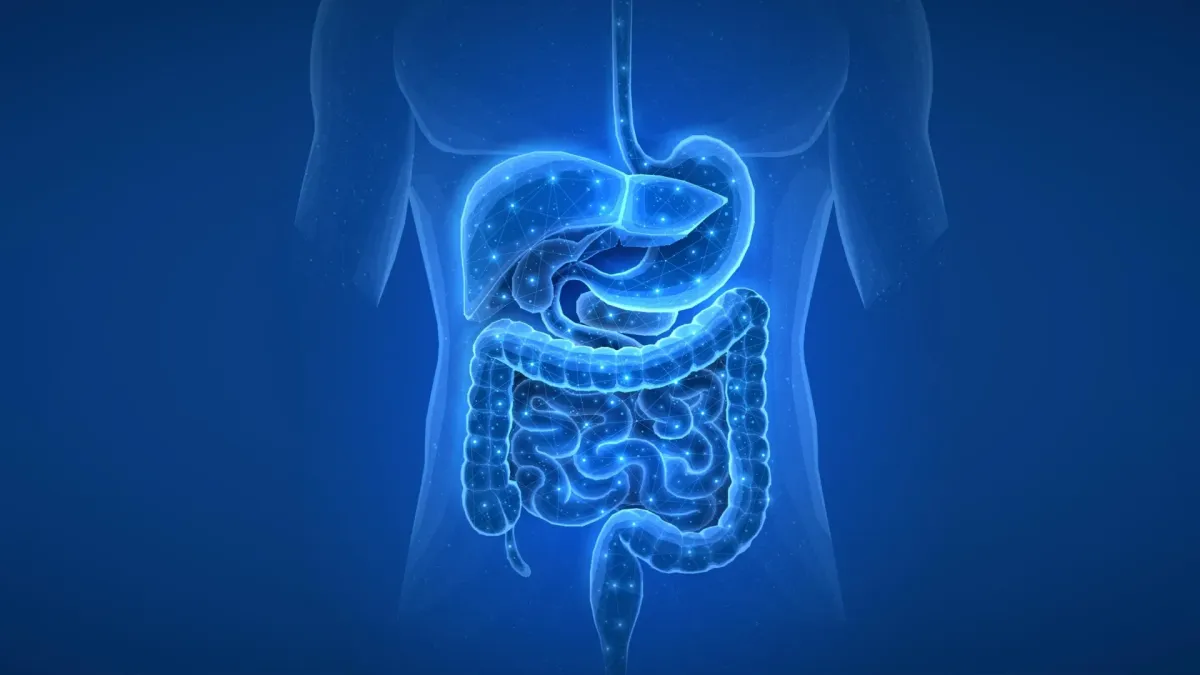 Past Meds Can Reshape Your Gut Microbes for Years