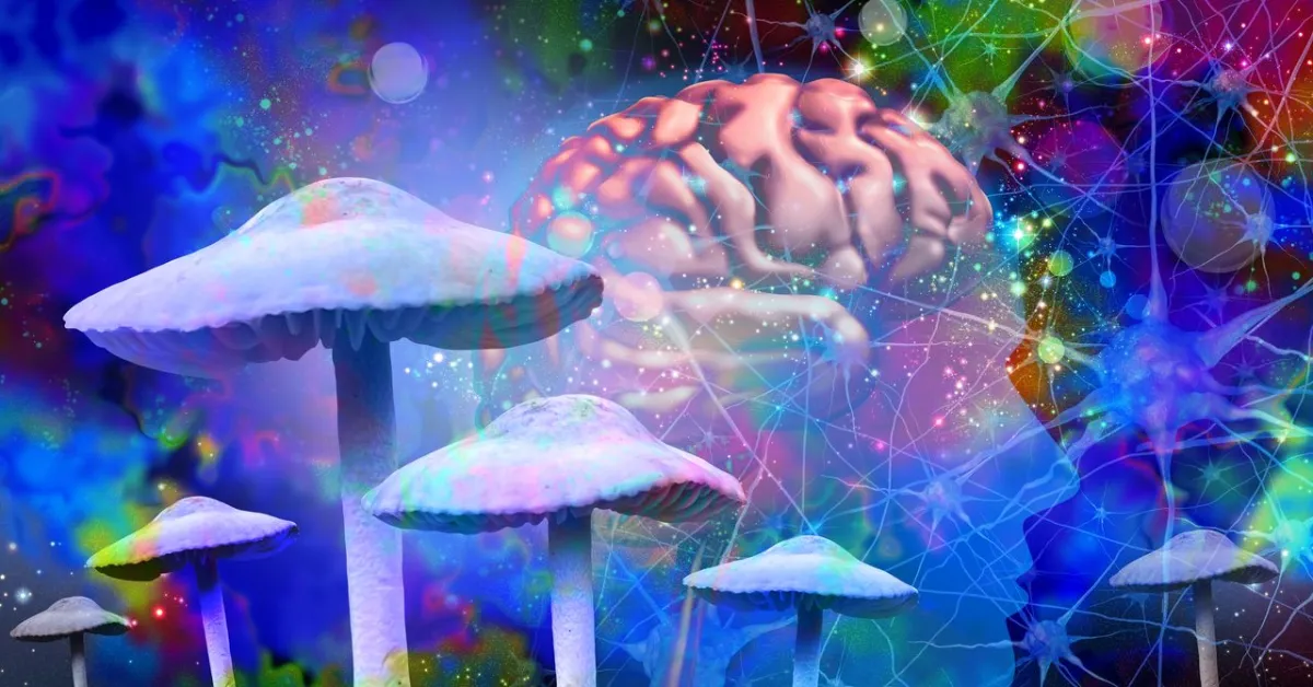 Psilocybin May Boost Brain's "In-the-Moment" Processing