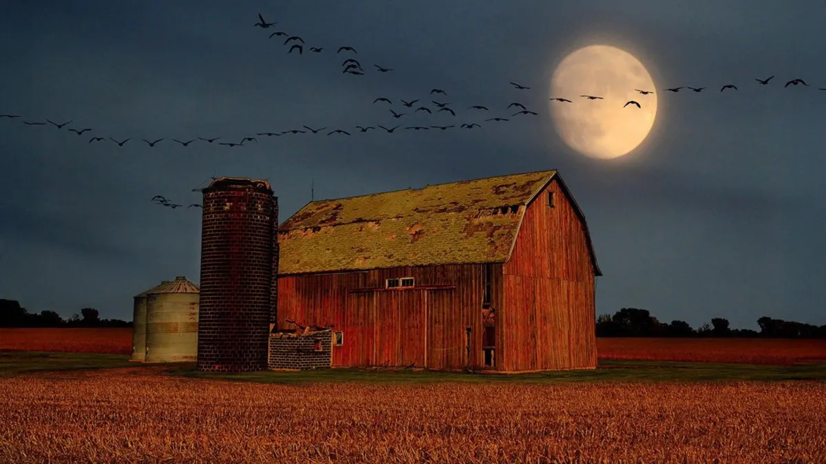 September Skies: Venus Shines Bright, Harvest Moon Meets Planets