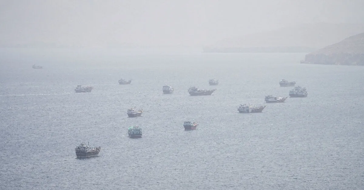 New Strait of Hormuz Incident Fuels Oil Supply Threat Fears