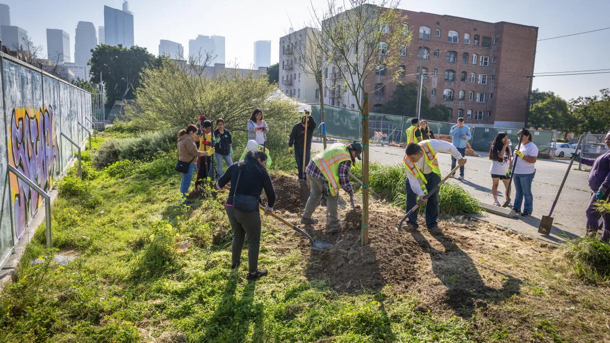 LA School Replaces Asphalt with Extensive Green Space