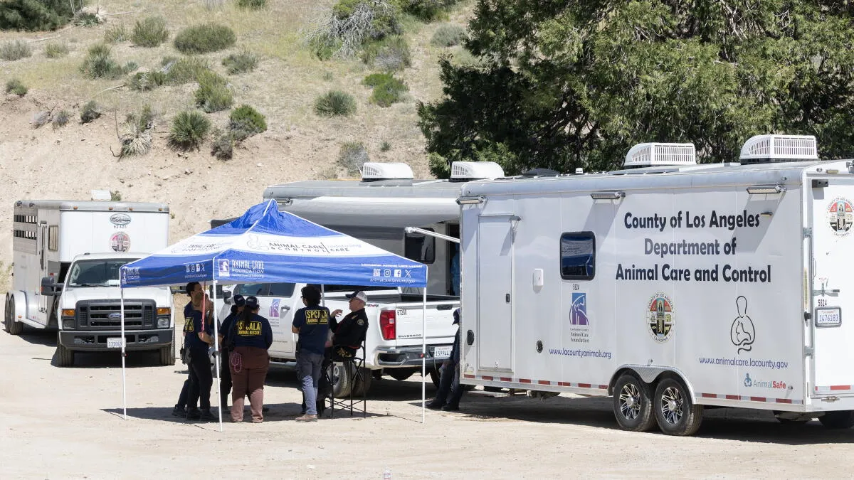 Animal Rescuer Charged with Cruelty Amidst Deplorable Conditions