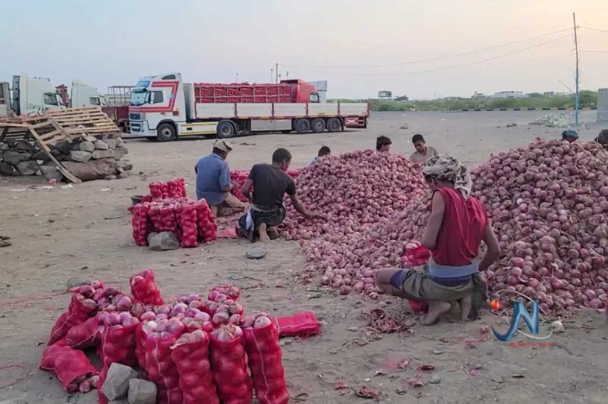 Onion Prices Skyrocket Amidst Houthi Escalation Impacting West Coast Agriculture