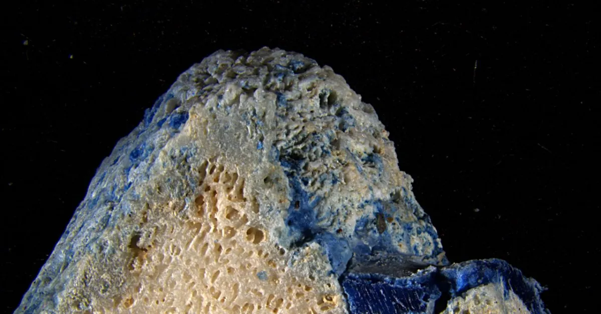 Plastic Is Literally Melting Into Coral, Scientists Find