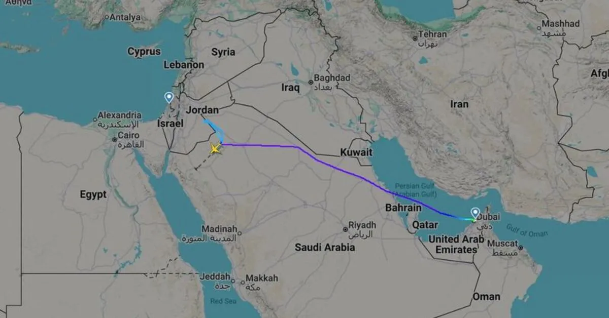 Israel-bound Flight Diverted to Saudi Arabia After Pilot Brawl
