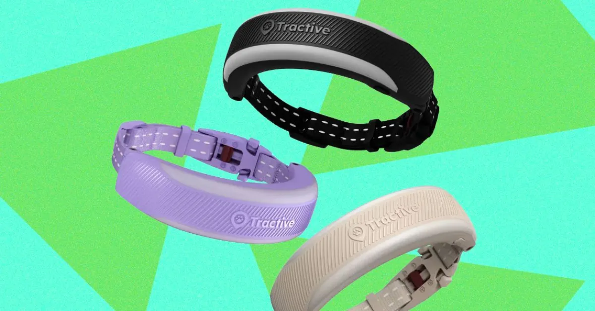 Tractive Cat 6 Mini: Smart Collar Offers Health Insights, But Has Quirks
